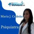 María J Cedeño P