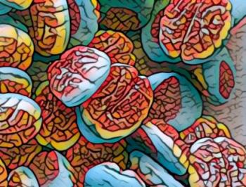 Congreso Virtual Internacional de Psiquiatría, Psicología y Salud Mental (Interpsiquis)